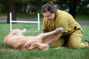physical therapy for dogs