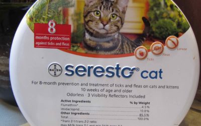 5 Best Flea Products and Current Promotions at Animal Medical