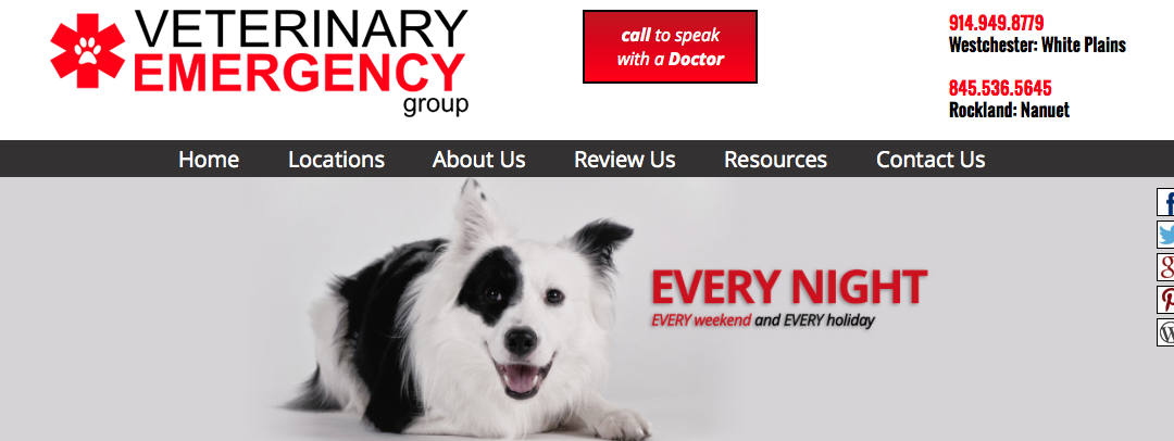 Veterinary Emergency Group New To the New City Area