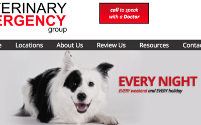 Veterinary Emergency Group New To the New City Area