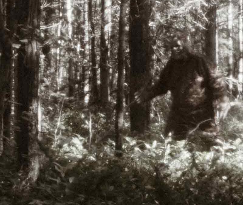 Stony Point Residents Say Veterinarian Discovered Sasquatch