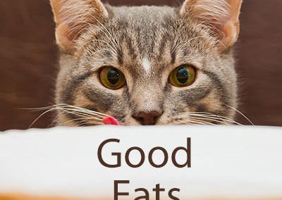 Feline Nutrition