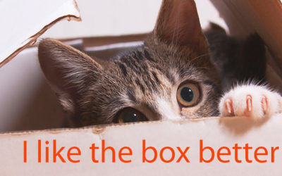 Veterinarians Pick Top 7 Holiday Presents for Pets