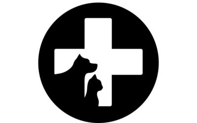 Emergency Care