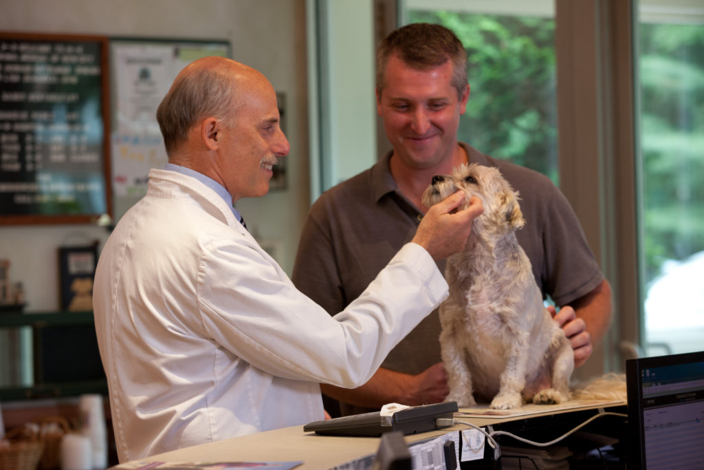 howard with patient Animal Medical New City