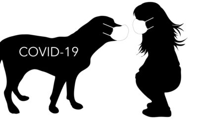 COVID-19 And Pets: Helpful information