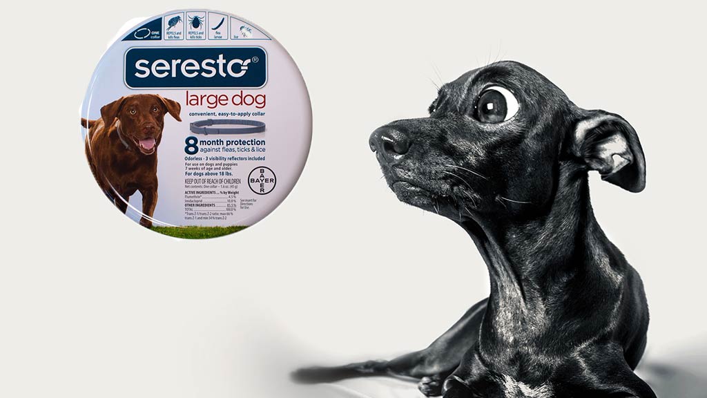 Veterinarian Takes Issue With Seresto Article
