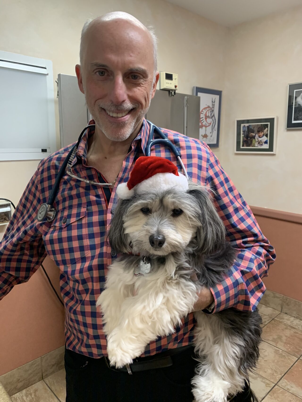 Our Veterinarians Animal Medical New City