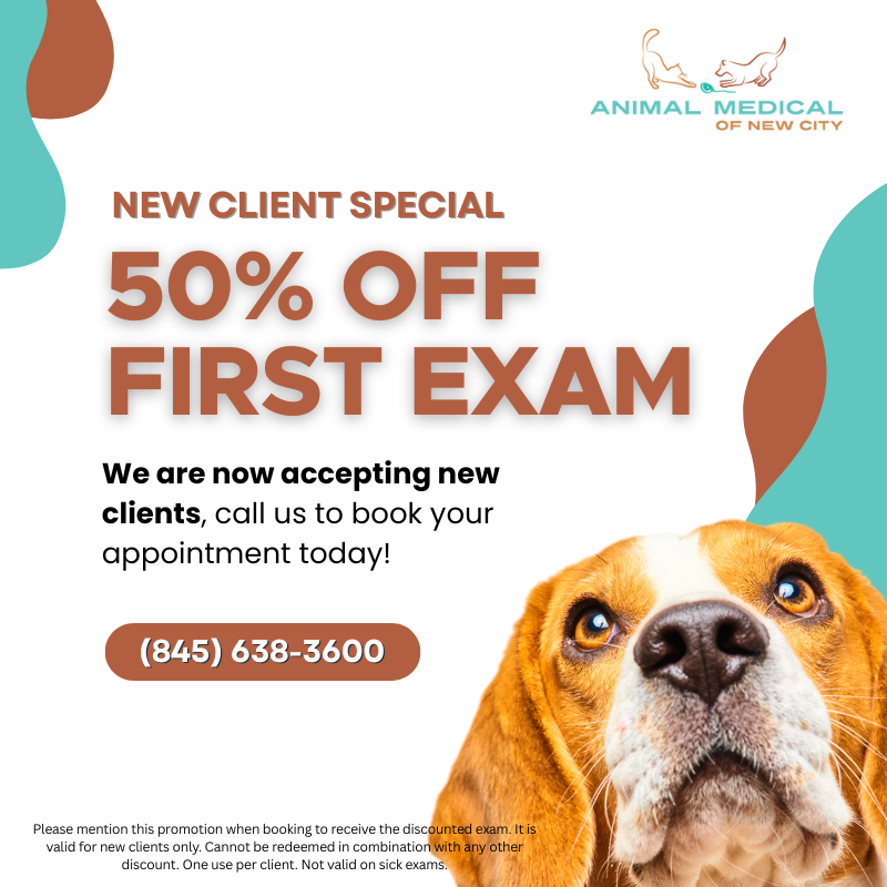 AMNC_New Client Promo Graphics_2025