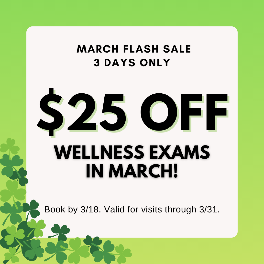 Social Media Graphic_2026 March Flash Sale