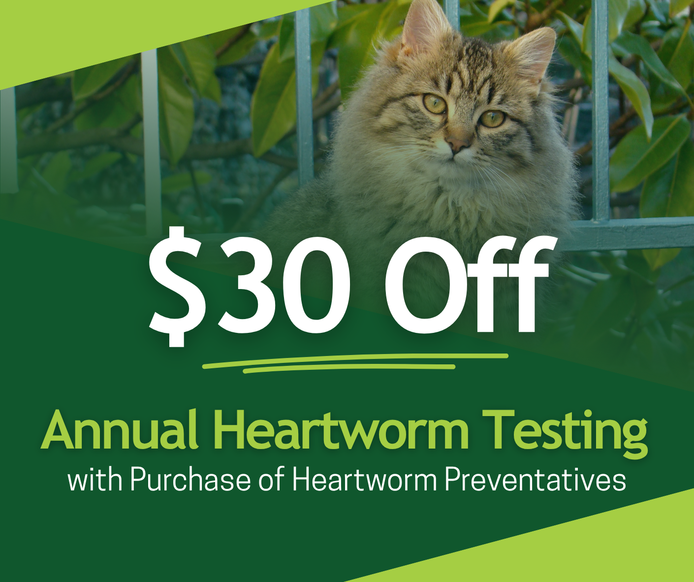 Web_Preventative Compliance_CAT
