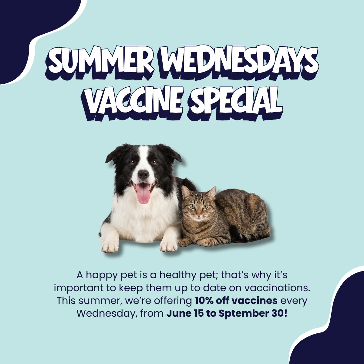 Website Graphic_ Summer Wednesdays Promo
