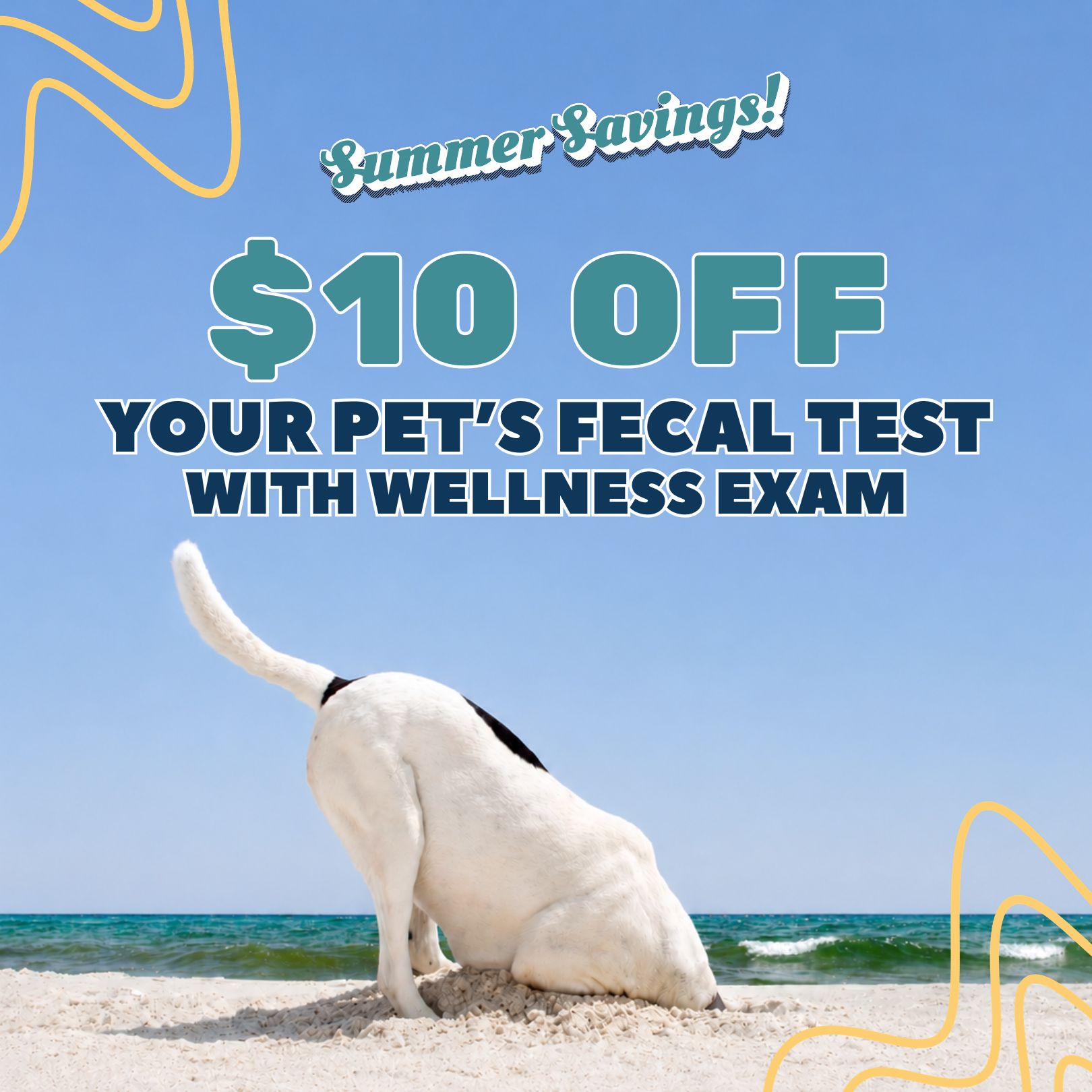 Website_Fecal Compliance Promo